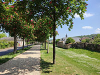 Photo : Fréteval : Promenade ludique et familiale à Fréteval