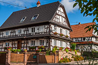 Balade en famille autour de Balade ludique et familiale entre Hoffen et Leiterswiller dans le 67 - Bas-Rhin