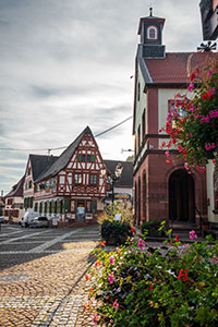 Balade en famille autour de Balade ludique et familiale à Oberbronn dans le 67 - Bas-Rhin