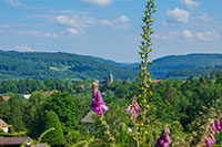 Balade en famille autour de Balade ludique et familiale à Plaine dans le 67 - Bas-Rhin