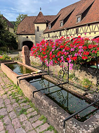 Balade en famille autour de Balade ludique et familiale à Steige dans le 67 - Bas-Rhin