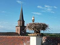 Balade en famille autour de Promenade ludique et familiale à Dannemarie dans le 68 - Haut-Rhin